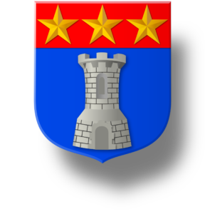 Blason et armoiries famille de Blois