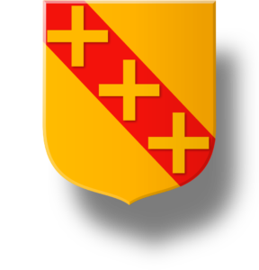 Blason et armoiries famille Thésut