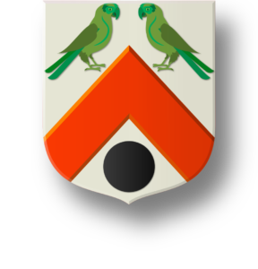 Blason et armoiries famille Dormy