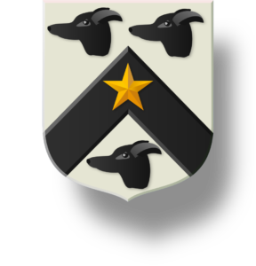 Blason et armoiries famille de Lée