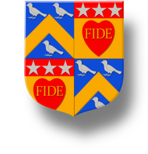 Blason et armoiries famille Reinaud