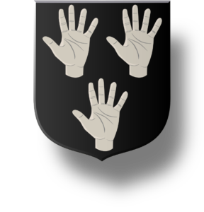 Blason et armoiries famille de Bonnefoy