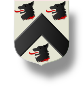 Blason et armoiries famille Bouan