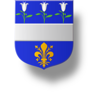 Blason et armoiries famille de Chouly