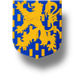 Blason et armoiries famille de Conflans