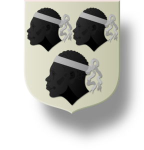 Blason et armoiries famille de Conquérant