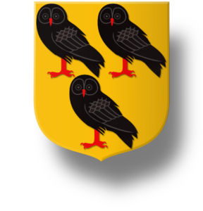 Blason et armoiries famille de Courson