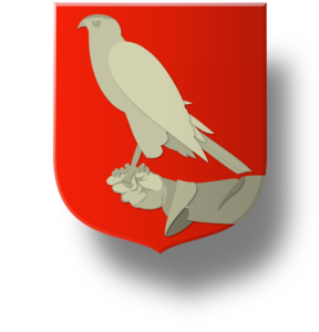 Blason et armoiries famille  Pitot