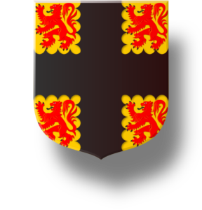 Blason et armoiries famille de Cordouan