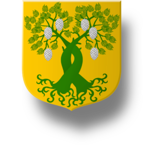 Blason et armoiries famille de Covet