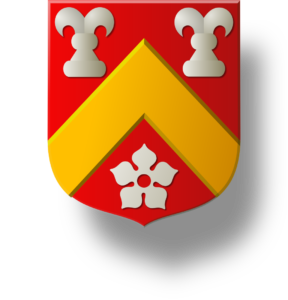 Blason et armoiries famille Dubruel