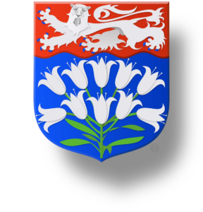 Blason et armoiries famille Audisio