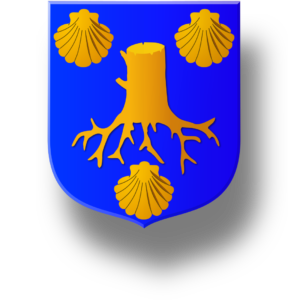 Blason et armoiries famille Bourgault