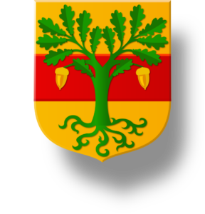 Blason et armoiries famille Maingard