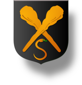 Blason et armoiries famille Sauvage