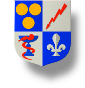 Blason et armoiries famille Bossin