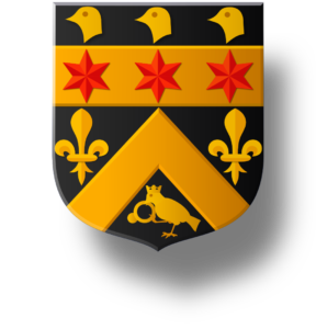 Blason et armoiries famille Doger