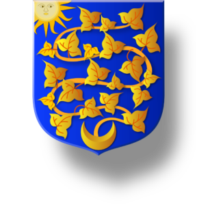 Blason et armoiries famille Duchemin