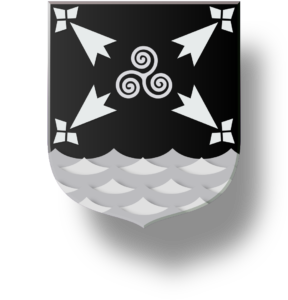 Blason et armoiries famille Lizé