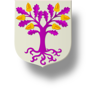 Blason et armoiries famille Torné