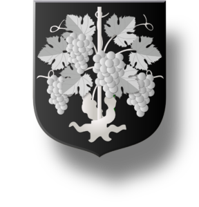 Blason et armoiries famille de Vignolles