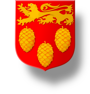 Blason et armoiries famille PInard