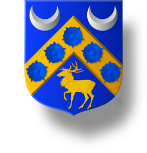 Blason et armoiries famille Yout-Pipien