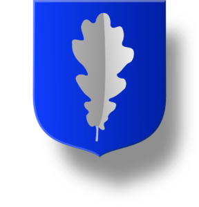 Blason et armoiries famille Chenu