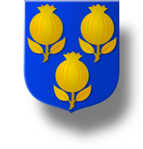 Blason et armoiries famille de de Croyson