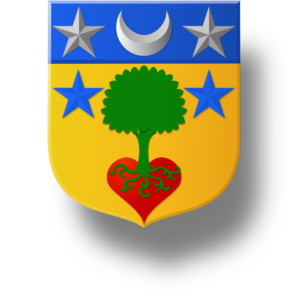 Blason et armoiries famille Cyvoct