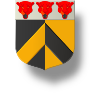 Blason et armoiries famille Durand de La Buissonnière