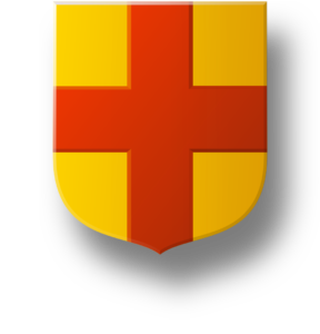 Blason et armoiries famille de Duyn