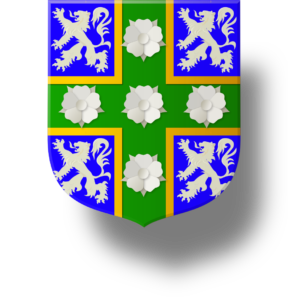 Blason et armoiries famille Pelé