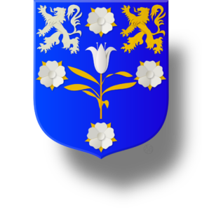 Blason et armoiries famille Setti