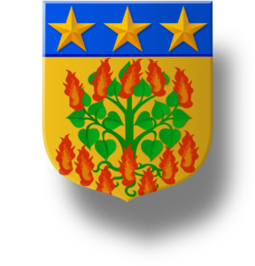 Blason et armoiries famille Teilhard