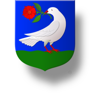 Blason et armoiries famille Binninger