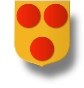 Blason et armoiries famille de Courtenay