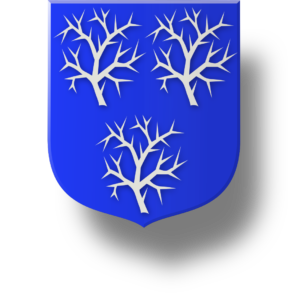 Blason et armoiries famille du Bourg de Bozas