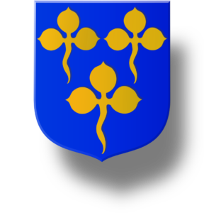 Blason et armories famille du Monceau