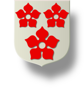 Blason et armories famille du Plessis-Châtillon