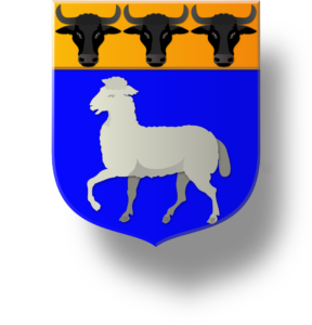 Blason et armoiries famille Emé