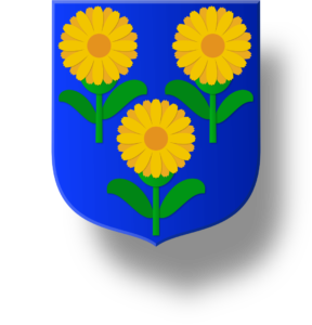 Blason et armoiries famille Le Sueur