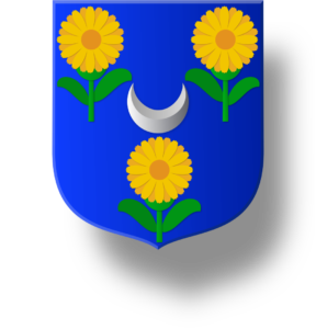 Blason et armoiries famille Le Sueur