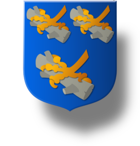 Blason et armoiries famille d''Erard