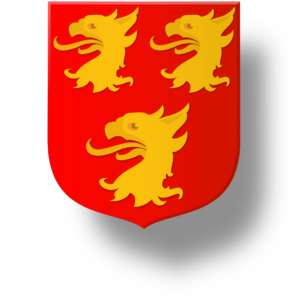 Blason et armoiries famille du Tot