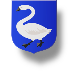 Blason et armoiries famille de Luyset