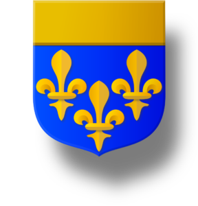 Blason et armoiries famille d'Estaing