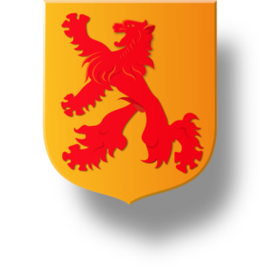 Blason et armoiries famille de Foucauld