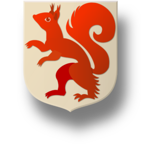 Blason et armoiries famille Fouquet