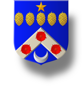 Blason et armoiries famille Péronnin